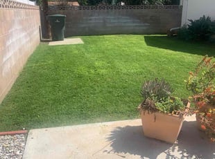 Nicole J.'s turf maintenance service result