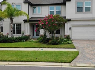 Dominic D.'s lawn care services service result