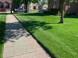 Casey V.'s lawn maintenance service result