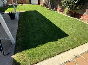 Zong H.'s lawn service service result