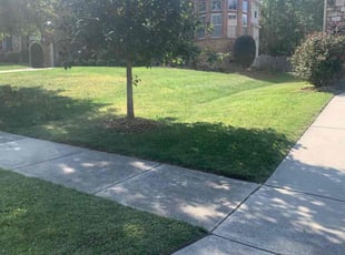 Zhirui D.'s turf care service result