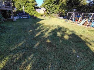 Carlos G.'s turf care service result