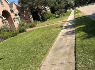 Laquista P.'s lawn care services service result