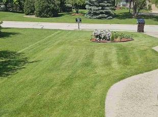 John S.'s lawn maintenance service result