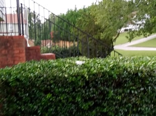 Garry K.'s lawn care services service result