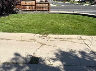 Faye H.'s lawn service service result