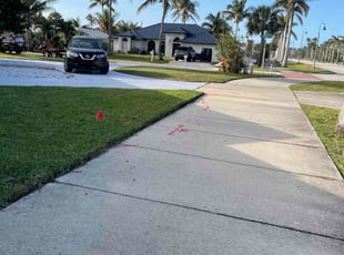 Venkata D.'s lawn maintenance service result