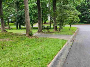 Beth M.'s turf care service result