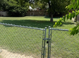 Anh B.'s lawn service service result
