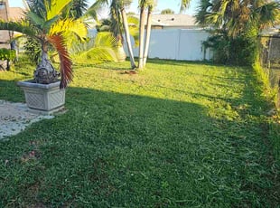 Han V.'s lawn service service result