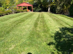 Wynn L.'s turf maintenance service result