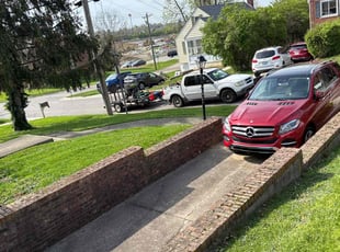 Mike S.'s lawn service service result