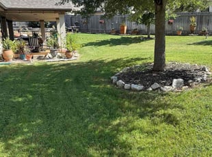 Chandler J.'s yard care service result