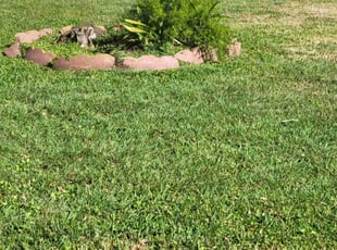 Ronald M.'s lawn care services service result