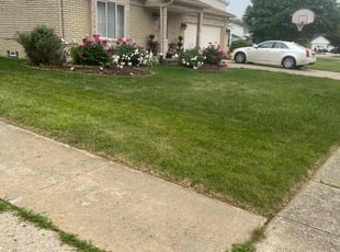 Emma C.'s grass cutting service result