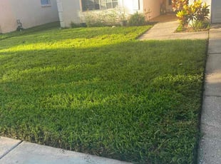 Tory k.'s lawn service service result