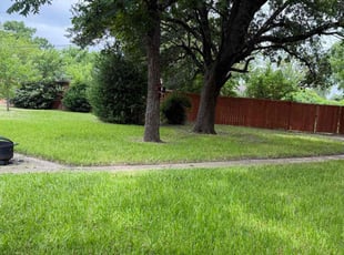 Stacey D.'s grass maintenance service result