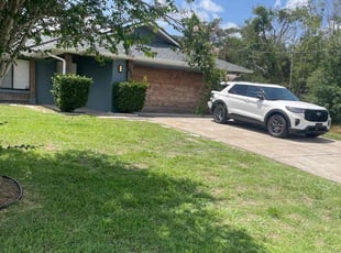 Moe H.'s turf care service result