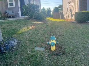 Tierra T.'s lawn care service result