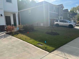 Carolyn Y.'s lawn maintenance service result