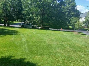 Kinley Y.'s lawn service service result