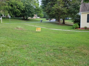 Tracy L.'s turf care service result