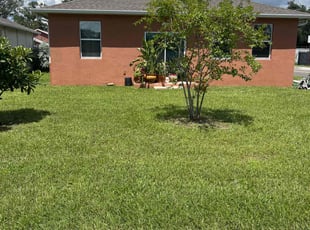 Zeshan K.'s grass cutting service result