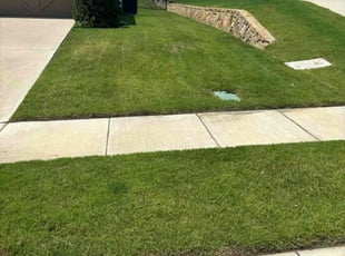 Mark E.'s turf maintenance service result