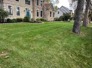 Jamie N.'s grass cutting service result