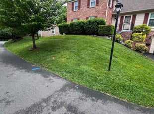 Cindy K.'s lawn care services service result