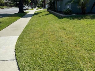 Matthew C.'s lawn care services service result
