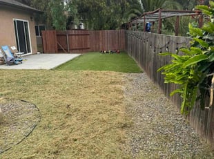 Felissa H.'s grass maintenance service result