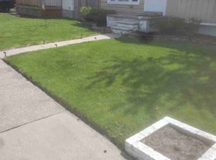 Trent S.'s lawn maintenance service result