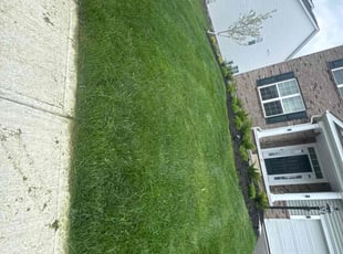 Libby B.'s turf maintenance service result