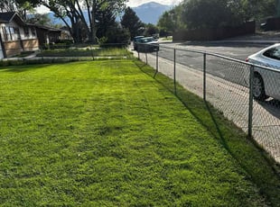 Tracy M.'s turf care service result