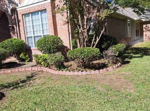 Sarah W.'s Bush Trimming service result