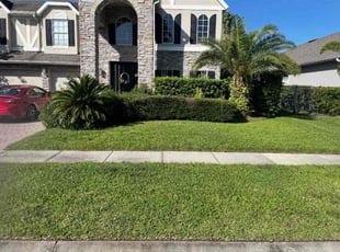 Zach M.'s grass maintenance service result
