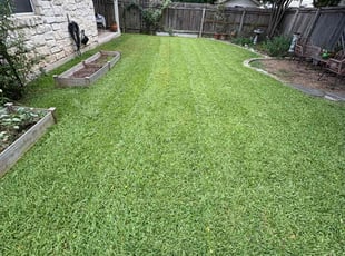 Mary K.'s yard care service result
