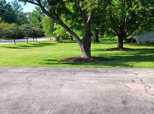 Eileen M.'s lawn maintenance service result