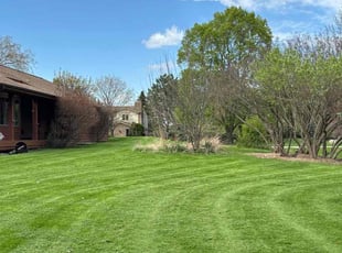 Sonya M.'s lawn maintenance service result