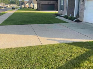 Latrail L.'s grass cutting service result