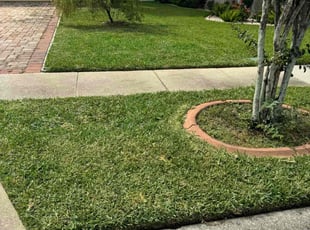 Jo S.'s lawn care services service result