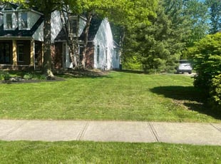 Kyle S.'s grass maintenance service result