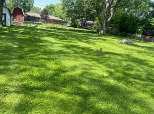 Justine F.'s lawn maintenance service result