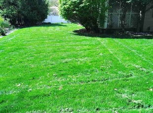 Valerie E.'s landscaping services service result