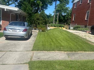Virgilio P.'s lawn care service result