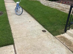 Emily S.'s turf maintenance service result