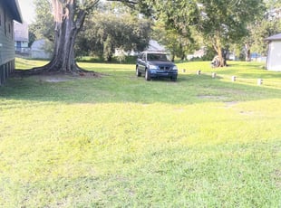Angie G.'s turf maintenance service result