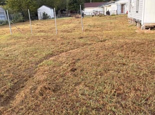 Jack H.'s grass maintenance service result