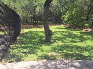 Lennie S.'s grass cutting service result